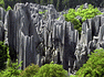 Stone Forest